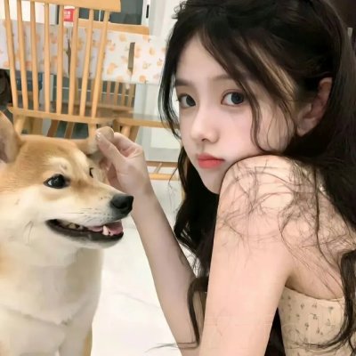 银河英雄传说 Die Neue These 星乱